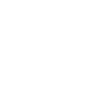 aviator icon